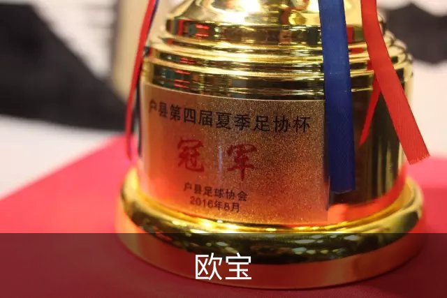 欧宝公司简介图